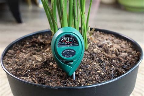 custom how to read a moisture meter plants|moisture meter for plants guidelines.